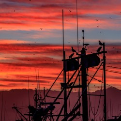 Mast Sunrise