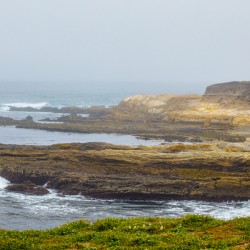 Misty fingers