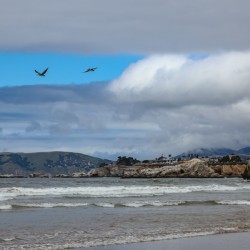Pelican Cliffs