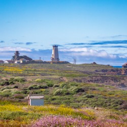 Piedras Blancas Lighthouse