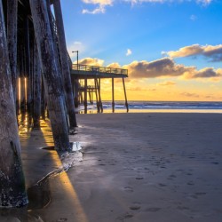 Pismo Rays