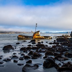 Reef Wreckage
