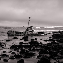 Reef WreckageB W