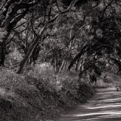 Road to Nowhere
