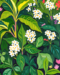 Beneath The Jungle Canopy Nature Plants Botanical