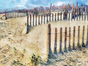 beach fences