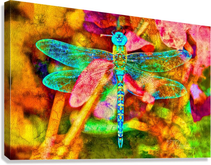 blue dragonfly floating Canvas Print