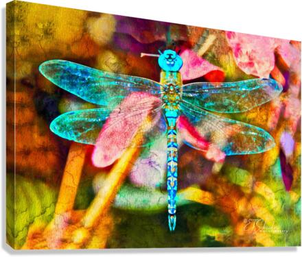 blue dragonfly Canvas Print