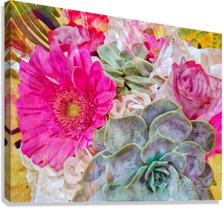 china aster Canvas Print