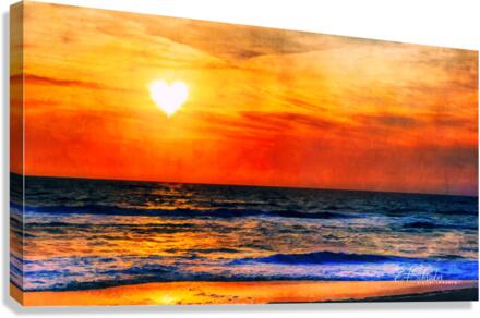 heartrise  Canvas Print