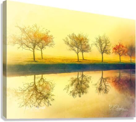 misty river trees Canvas Print