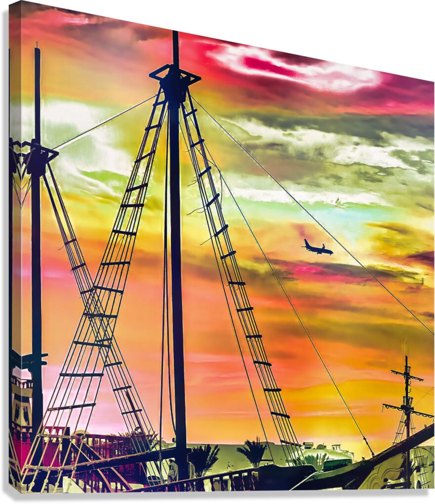 Evasion Canvas Print