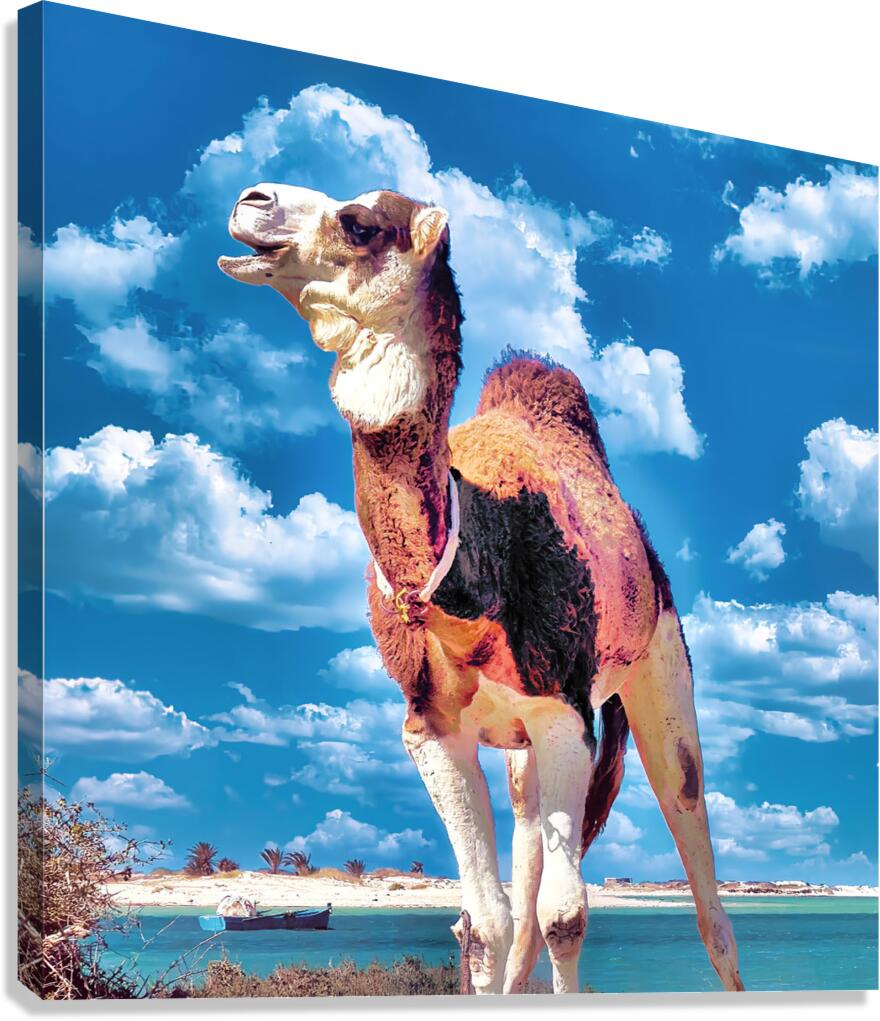 Lacune Canvas Print