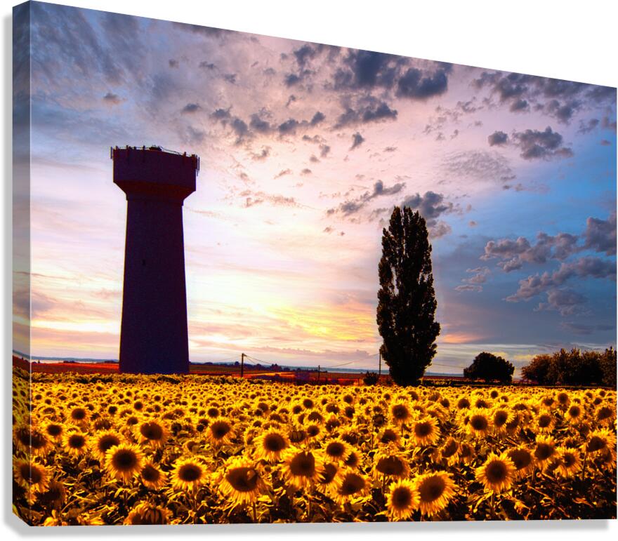 Gardiens Canvas Print