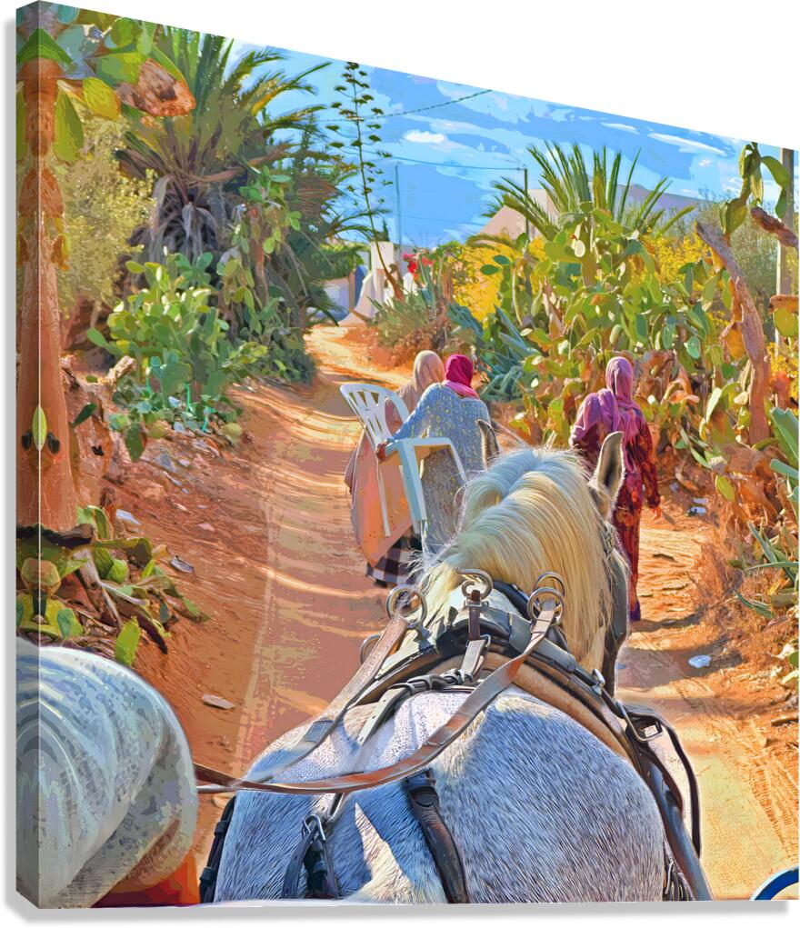 Sillage Canvas Print