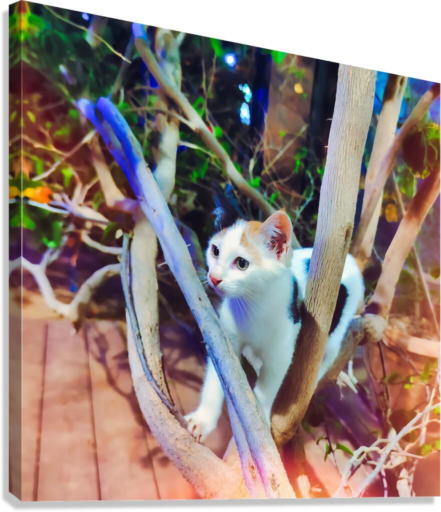 LAffut Canvas Print