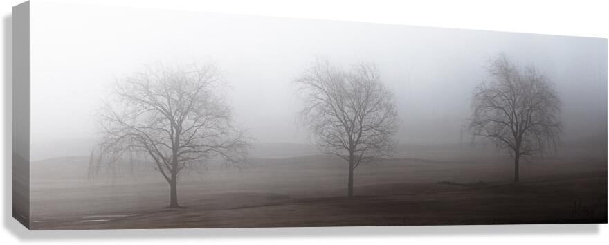 The Sisters Canvas Print