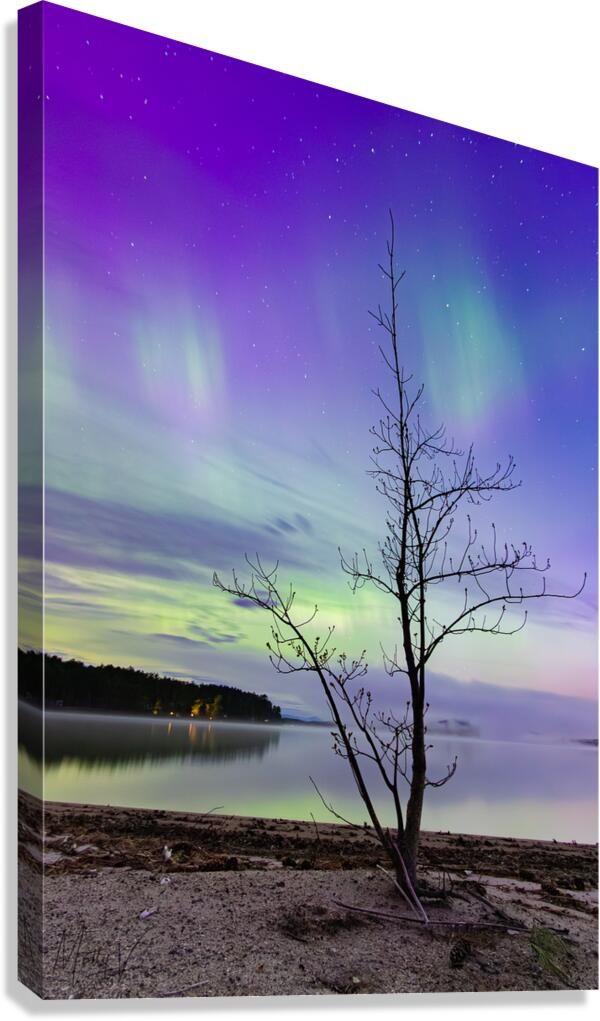 Skylights Tango Canvas Print