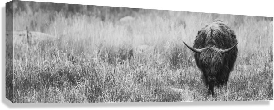 Steadfast Canvas Print