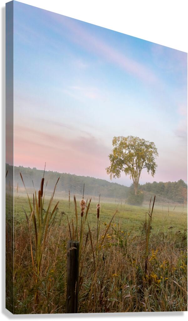 Dawn Canvas Print