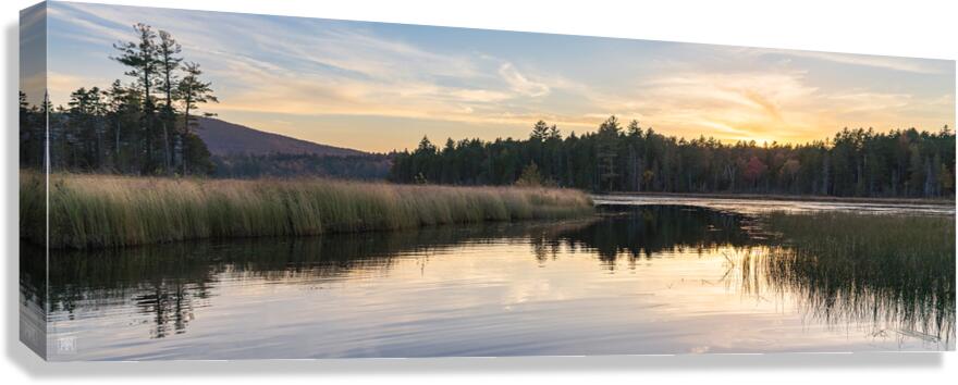 Baxter 1023 Canvas Print