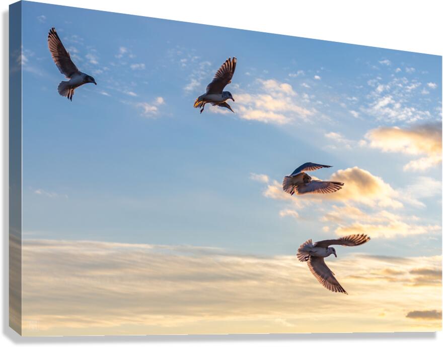 Fallen Angels Canvas Print