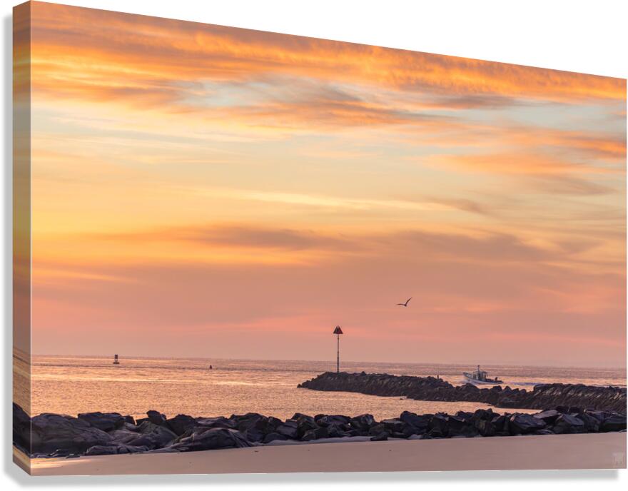 Adrift Canvas Print