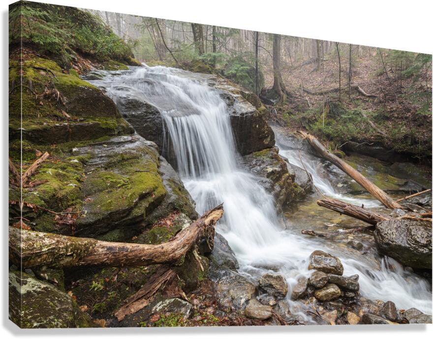 Passage Canvas Print