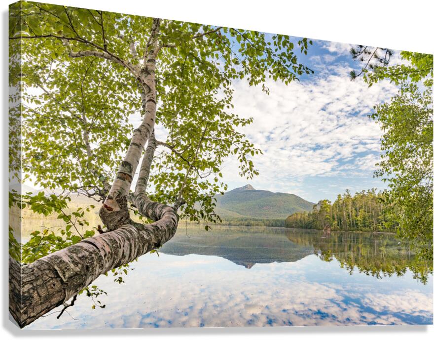 Aubreys View Canvas Print
