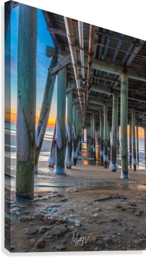 Under the Pier Canvas Print