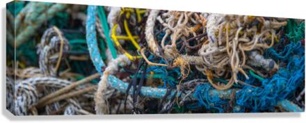 Discardings Canvas Print