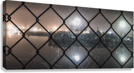 Web Links Canvas Print