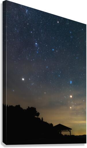 Planetary Pavilion Canvas Print