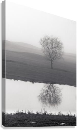 Vanity Canvas Print