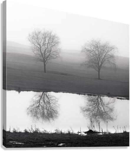 Dyad Canvas Print