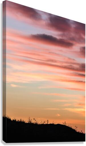 Emergence Canvas Print