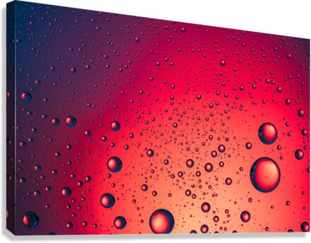 Impermeable Canvas Print
