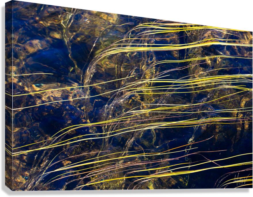 Flow Canvas Print