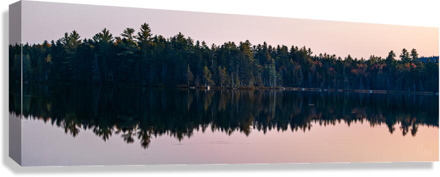 Deliberation Canvas Print