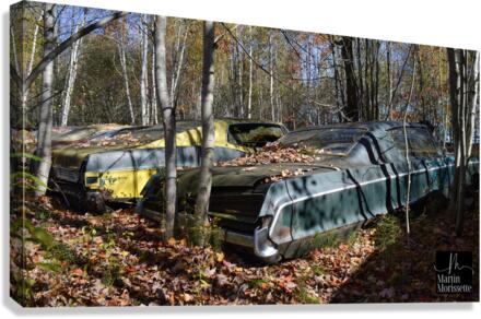Collection Garage Canvas Print