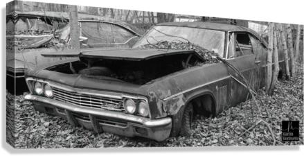 Collection Garage Canvas Print