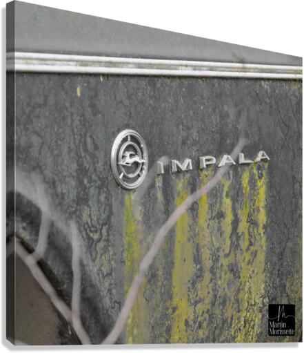 Collection Garage Canvas Print