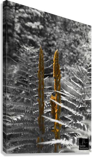 Nature Canvas Print