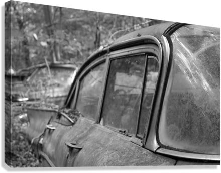 Collection Garage Canvas Print