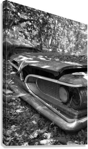Collection Garage Canvas Print