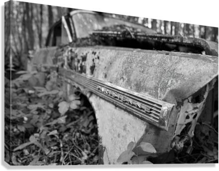 Collection Garage Canvas Print