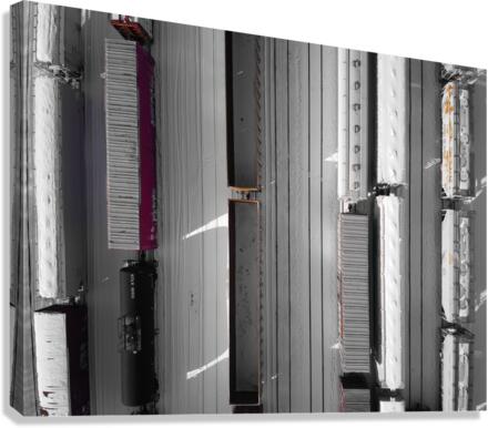Collection train Canvas Print