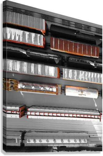Collection train Canvas Print