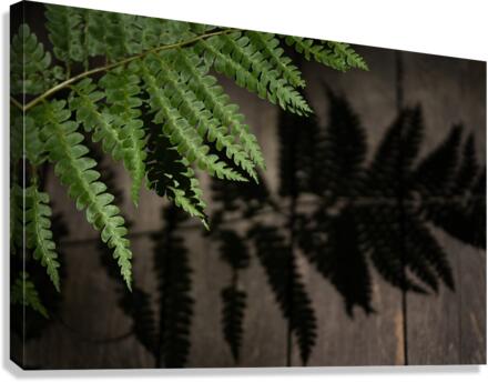 Nature paisible Canvas Print