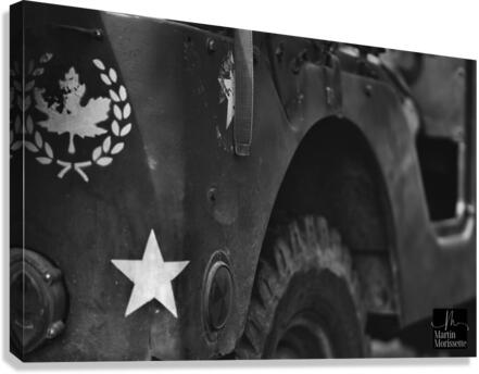 Collection Army Canvas Print